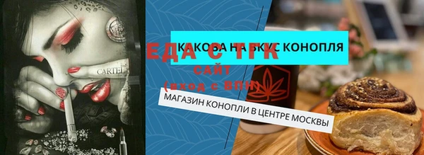 гашик Алексин