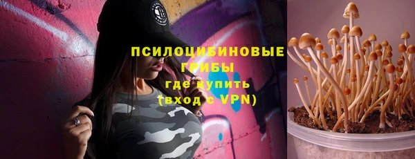 гашик Алексин