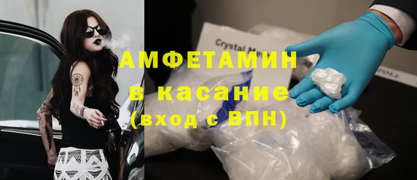 гашик Алексин