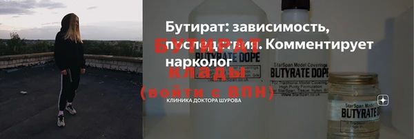 гашик Алексин