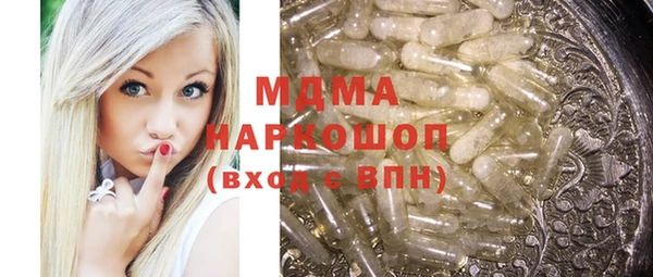 гашик Алексин