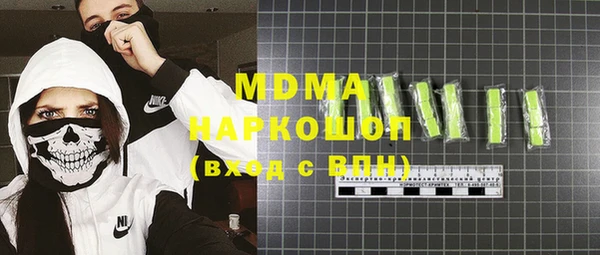 гашик Алексин